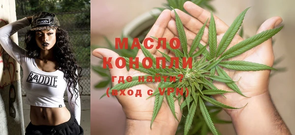 крисы Верхний Тагил
