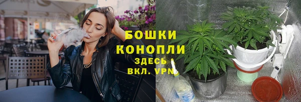 крисы Верхний Тагил