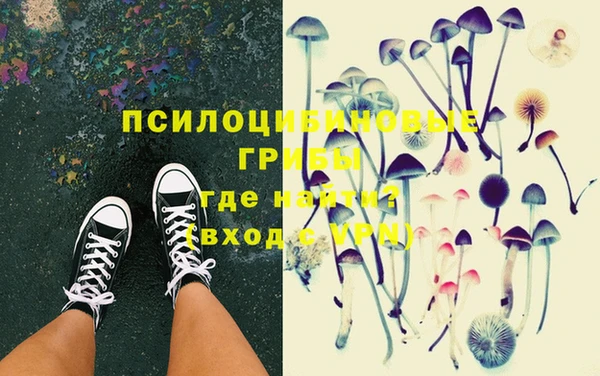 дмт Козловка