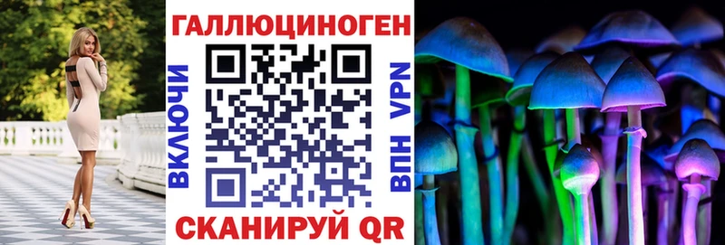 kraken рабочий сайт  Старица  Псилоцибиновые грибы прущие грибы 